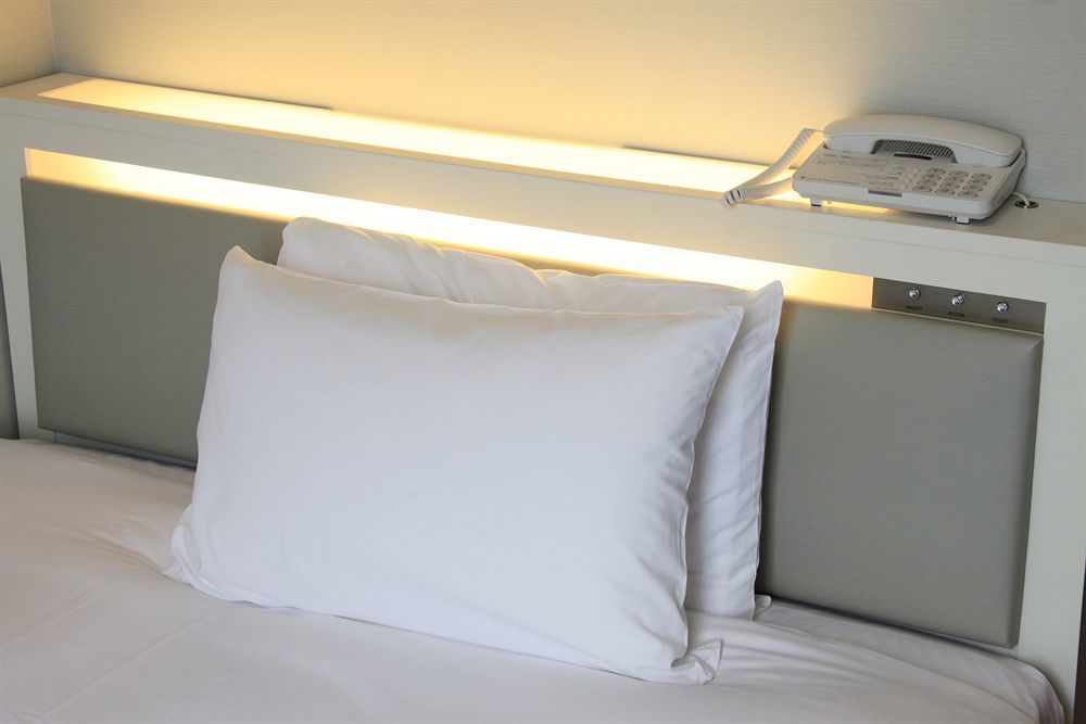 Sotetsu Fresa Inn Shimbashi-Karasumoriguchi Tokio Zewnętrze zdjęcie